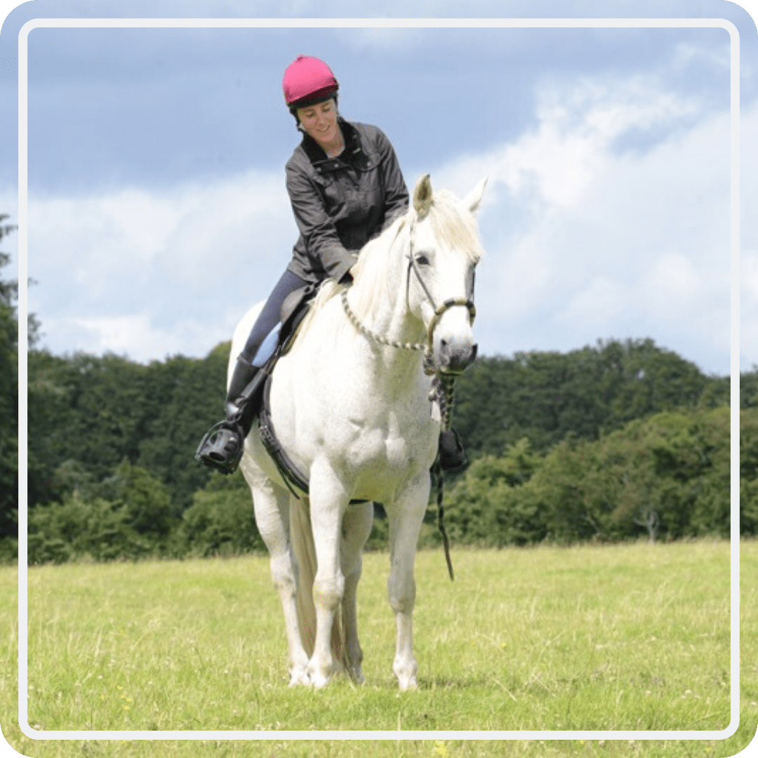 Speeds Of A Horse: How To Understand Walk, Trot, Canter & Gallop ...