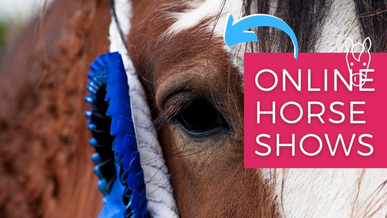 online horse show