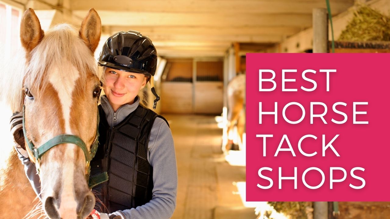 best horse tack shops