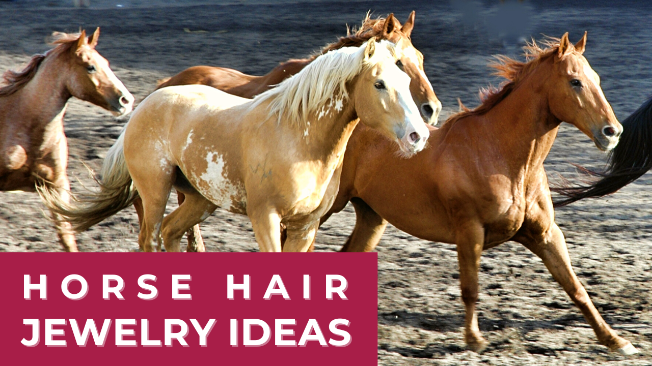 Horse Hair Jewelry Ideas - blog image